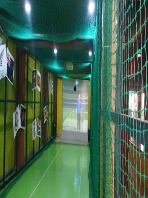 Leverage Cricket Simulators