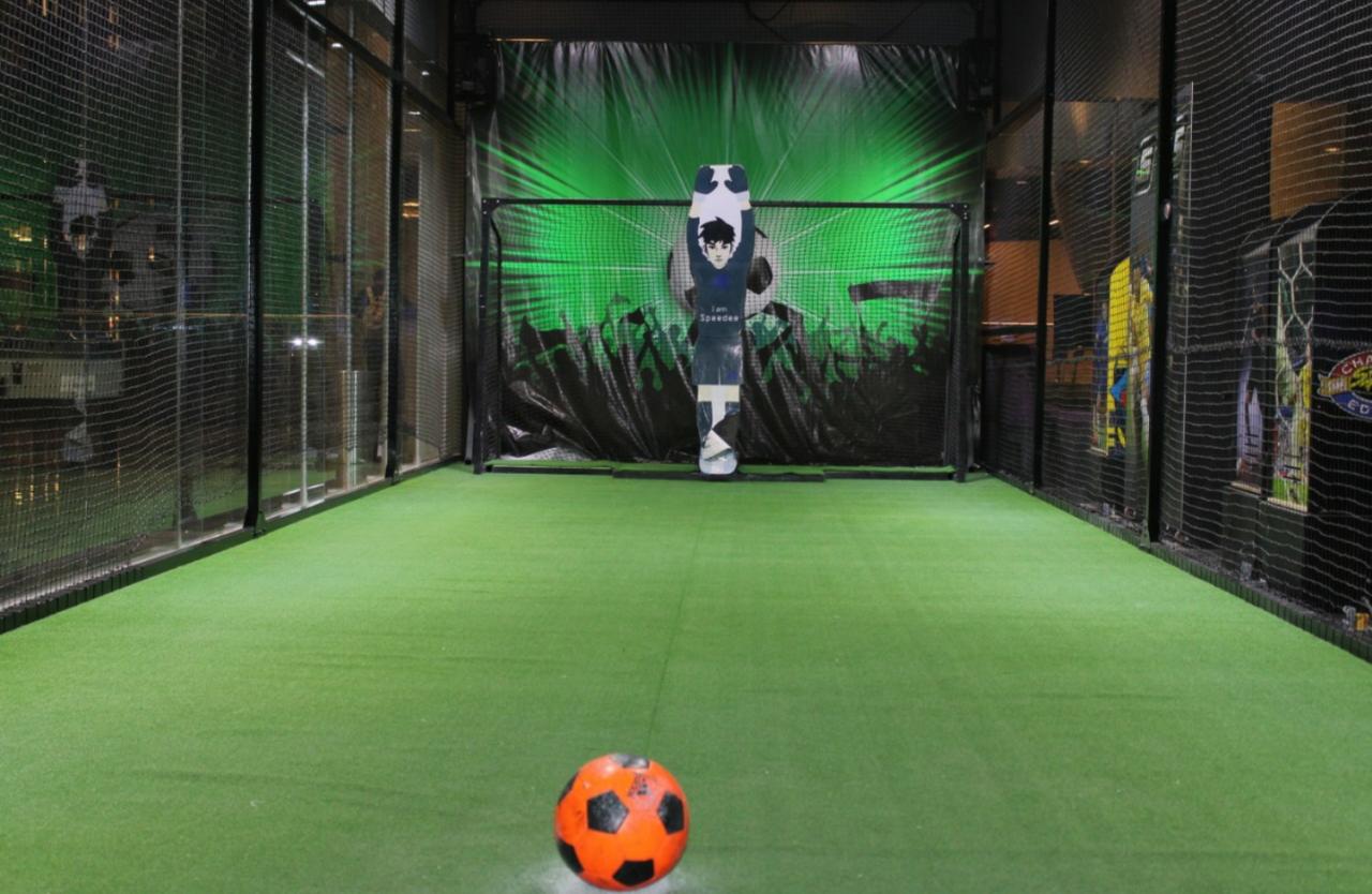 Leverage iRoboGoalie in Mexico